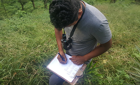 citizen science program