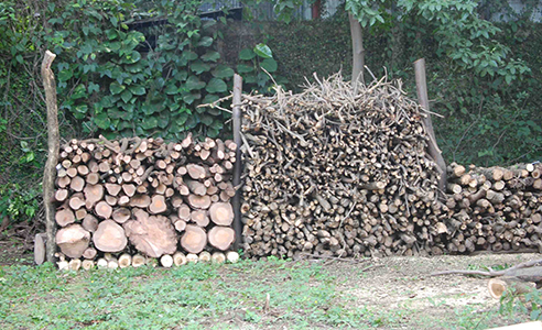 Firewood